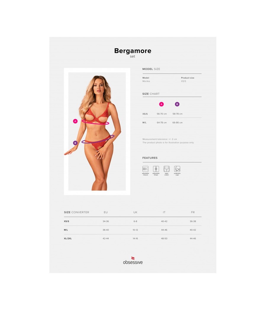 Ensemble Bergamore