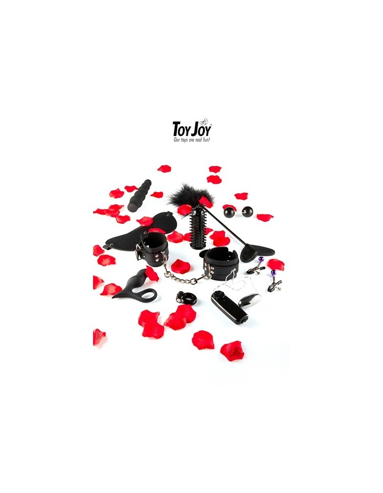 Lovetoy starter kit