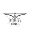 Mister B