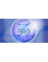 Zeus Electrosex